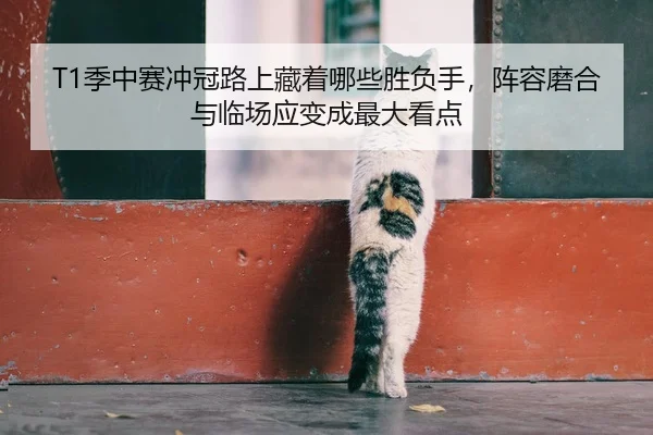 T1季中赛冲冠路上藏着哪些胜负手，阵容磨合与临场应变成最大看点
