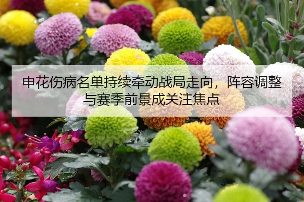 申花伤病名单持续牵动战局走向,阵容调整与赛季前景成关注焦点